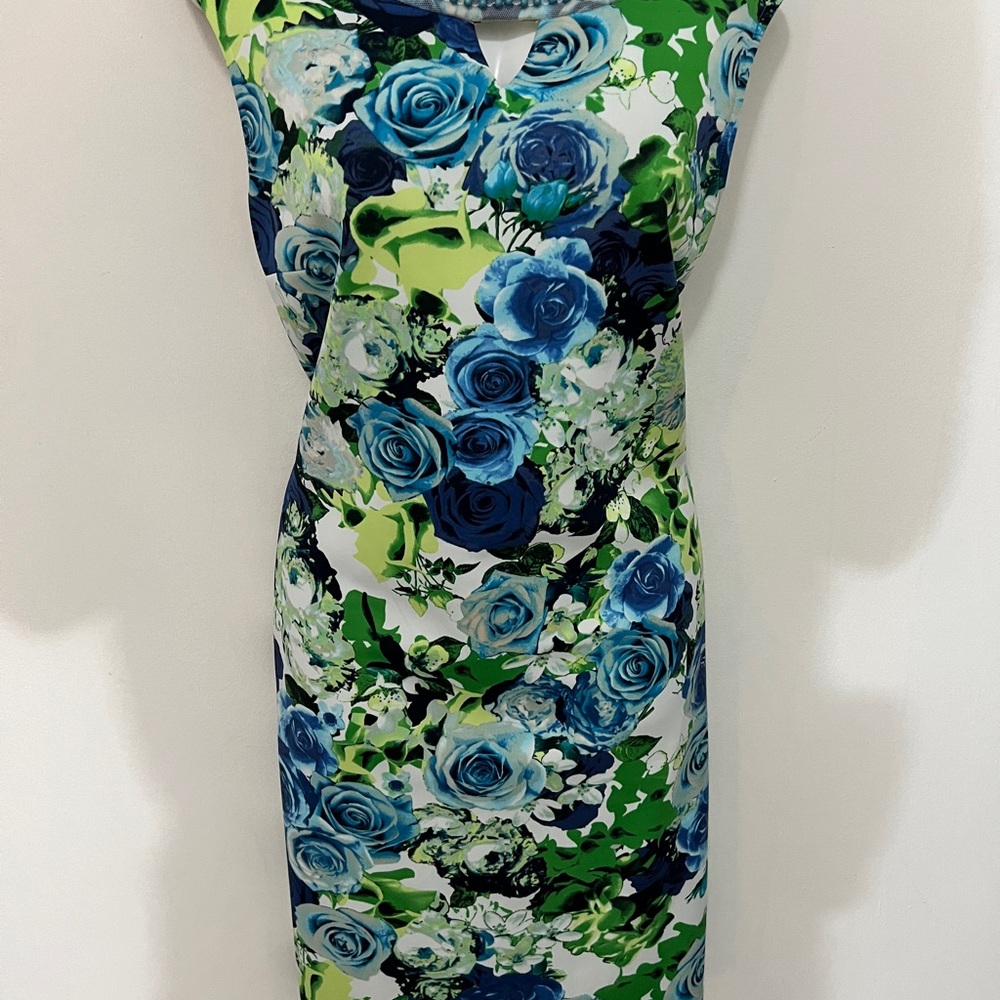 Covington Floral Dress with Blue and Green Accents